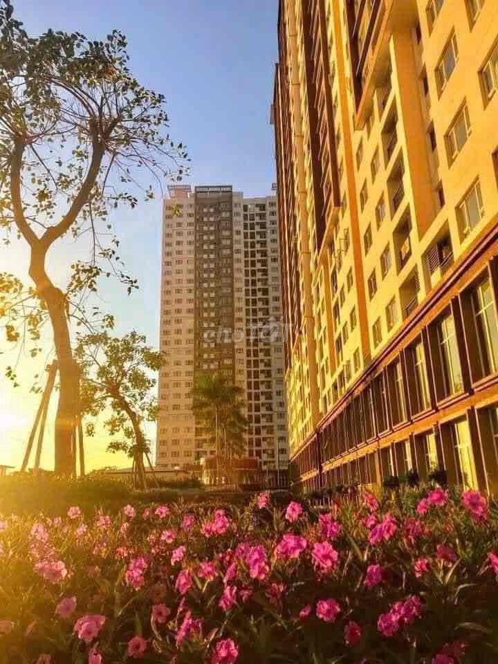 Rent The Park Residence a bedroom 8.5 million.