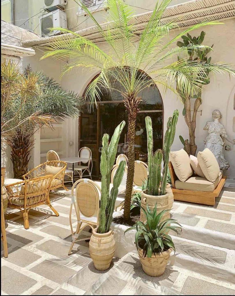 Rent Villa. Nice old place on Tú Xương.770 Võ Thị Sáu.