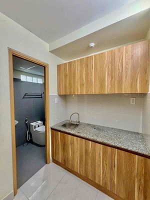 It's the owner who rents the 99-Nguyễn Văn Công penthouse. It's 4.99 million.