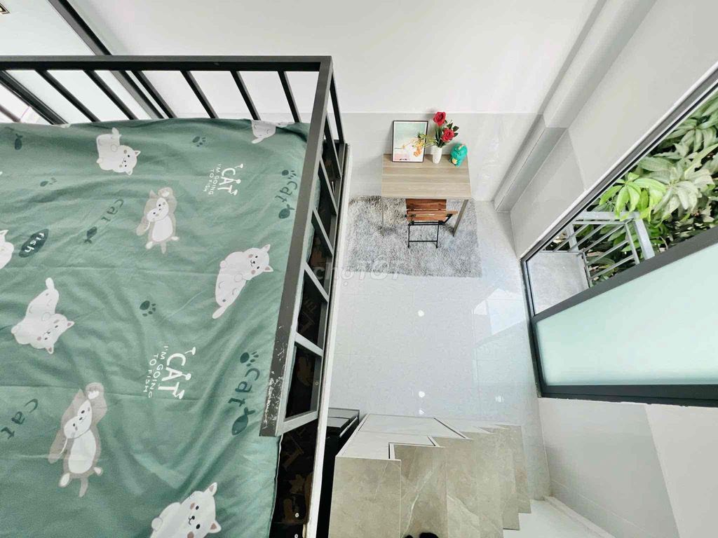 rented apartment - cicol - full interior - close to lotes & pink college