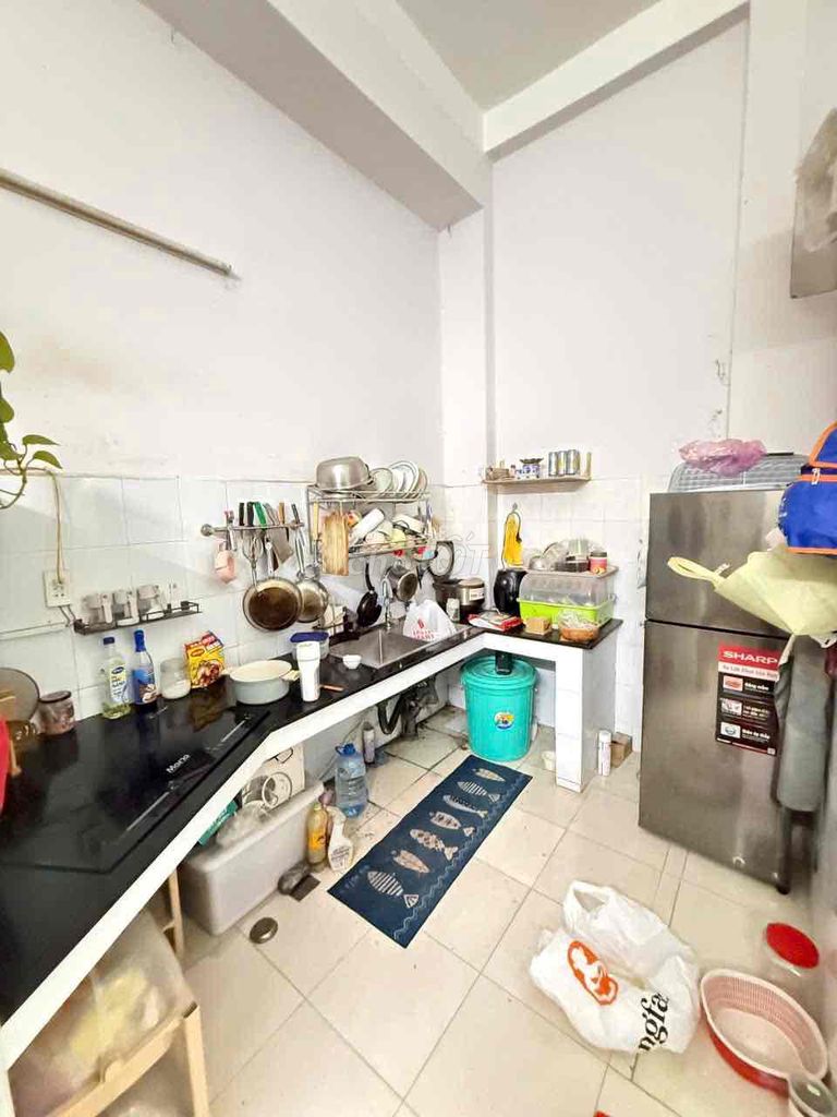 Châu Vĩnh Tế Tân Bình root house