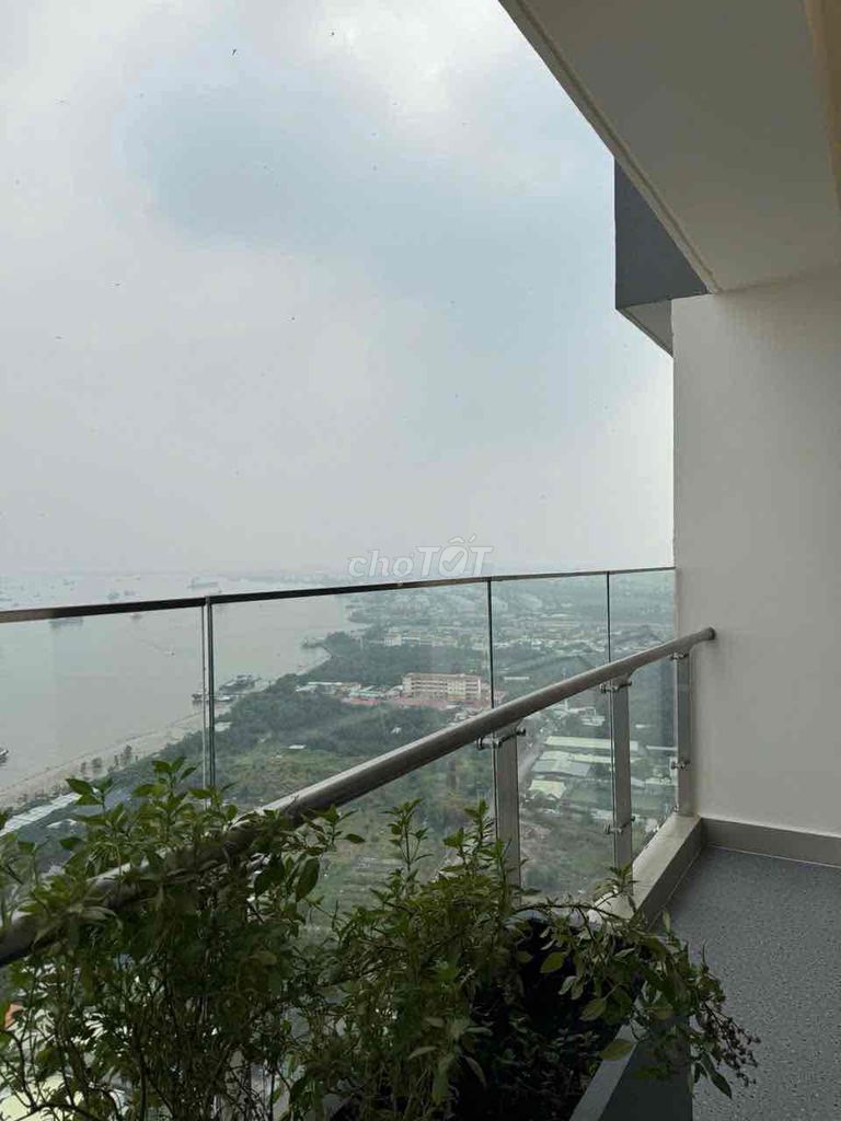 Rent the apartment. One bedroom. One sky89 toilet.