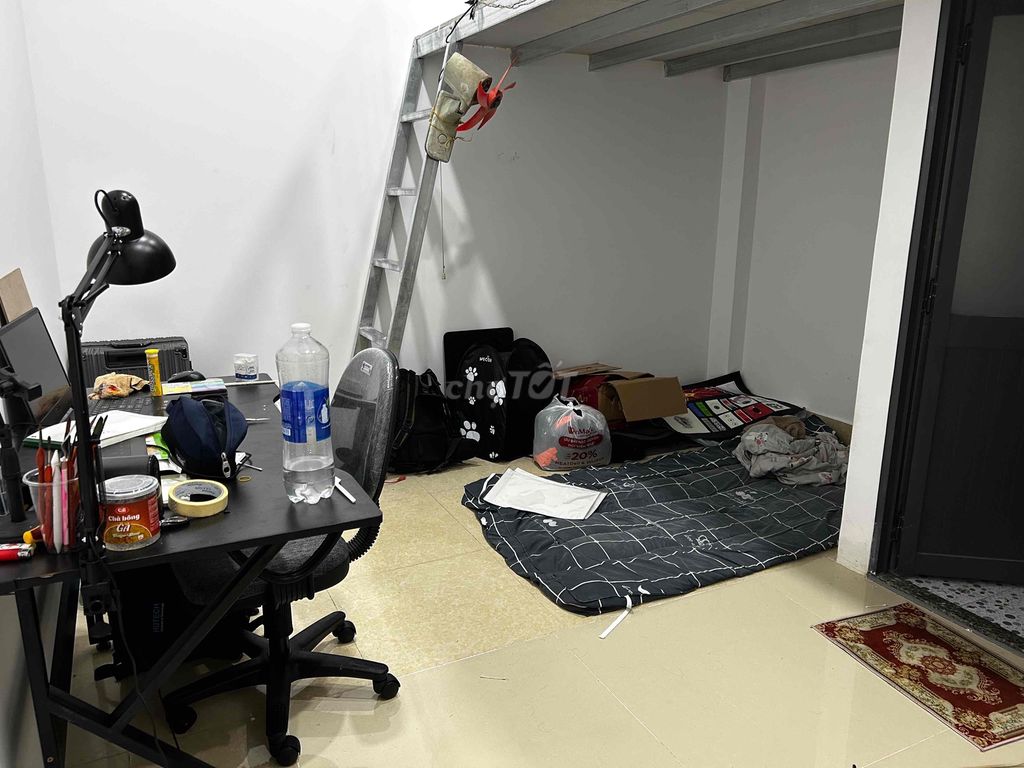 Find the male in the 1st.