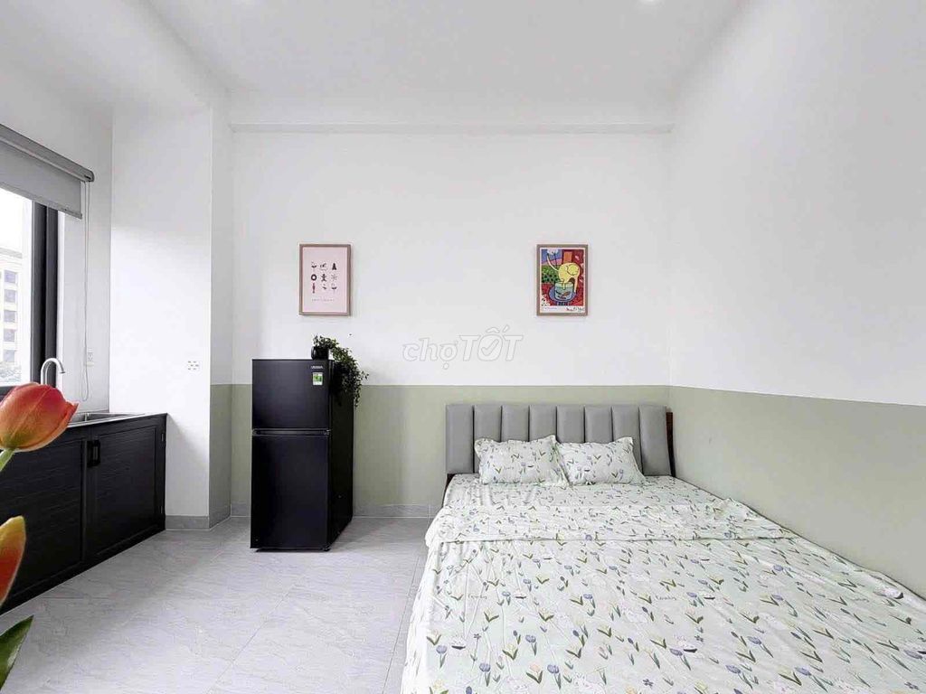 The new studio, open windows, basic interior -- one room available.