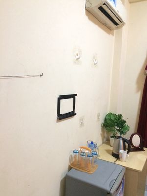 The An Dương Vương Natural Science Editor