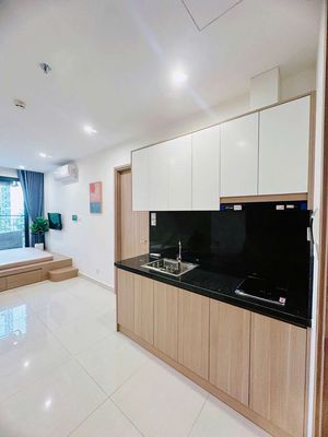 Rent Studio Vinhomes Grand Park, empty from 4 million, full interior from 6 million