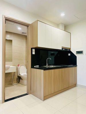 Rent Studio Vinhomes Grand Park, empty from 4 million, full interior from 6 million