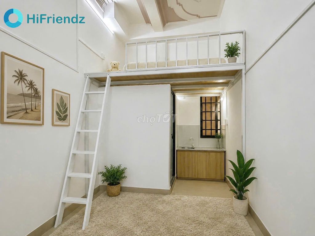 High guard - open house - cheap cash