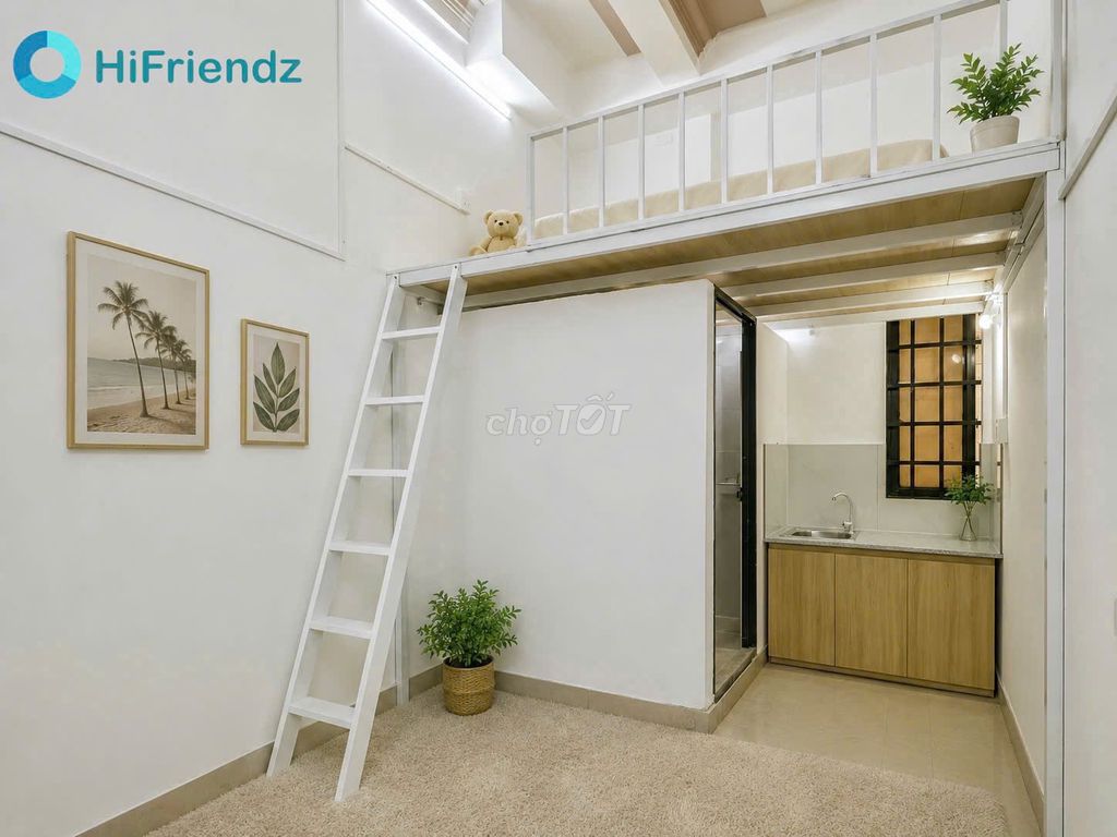 High guard - open house - cheap cash
