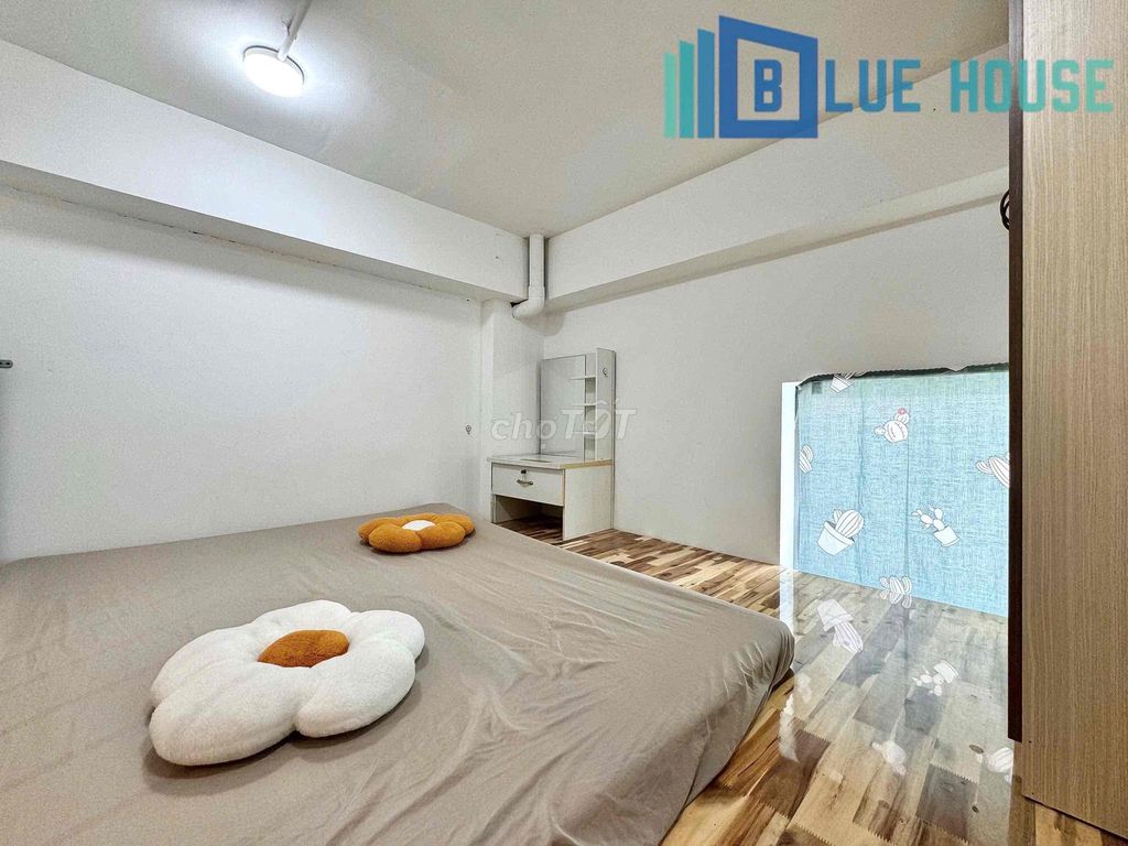 Rent the full interior room - for the tram, pet pet