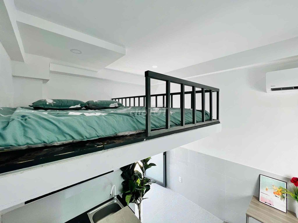 High level Dipex full interior