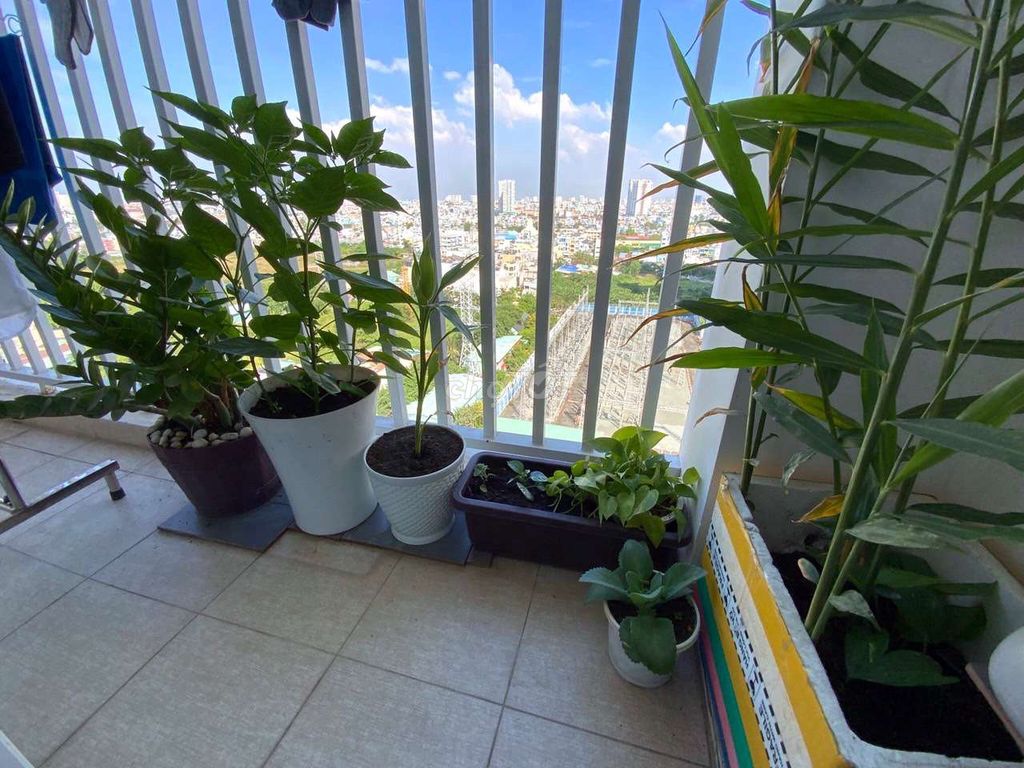 Rent Tara Residence.