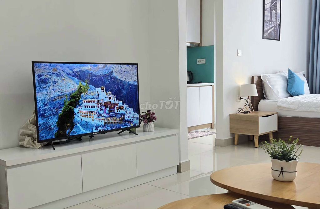 Rent the studio apartment full interior