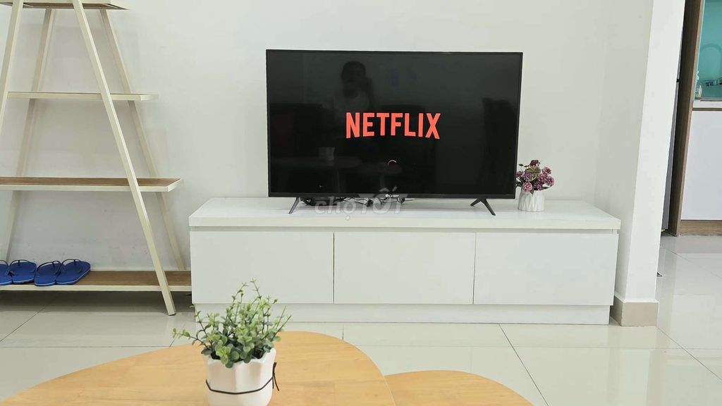 Rent the studio apartment full interior