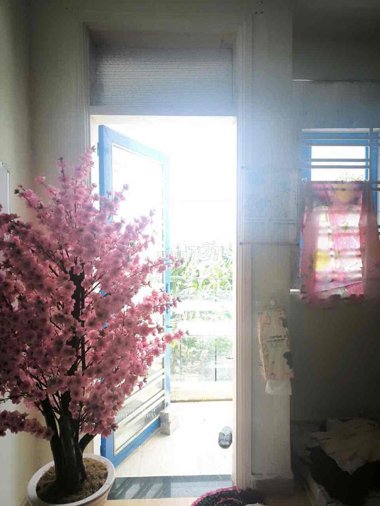 Số 6 B-W-W-W-W-W-W-W-W-W-W-W-W-W-W-W-W-W-W-W-W-W-W-W-W-W-W-W-W-W-W-W-W-W-W-W-W-W-W-W-W-W-W-W-W-W-W-W.