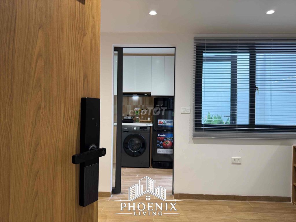 apartment 1 bedroom - full interior kitchen - right behindart Phan Huy Ích