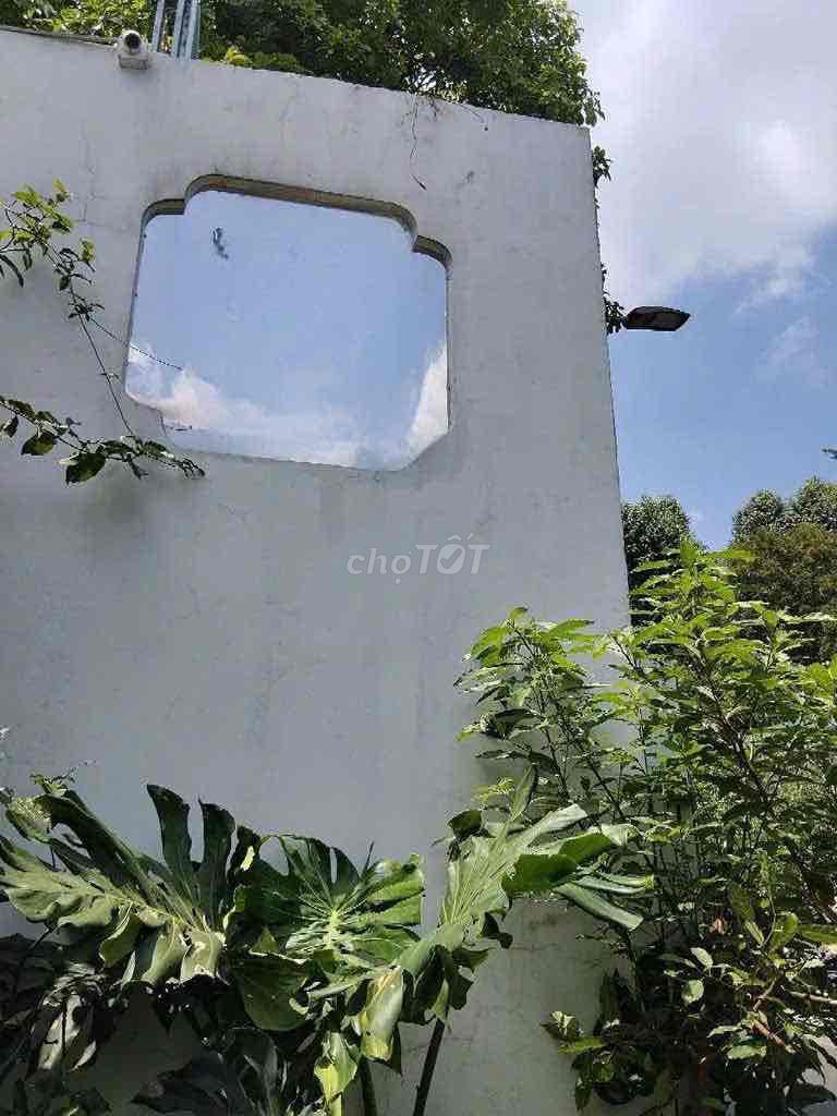Cash House 10 x31 meters, 310 meters, Tú Xương, Võ Thị Sáu, District 3