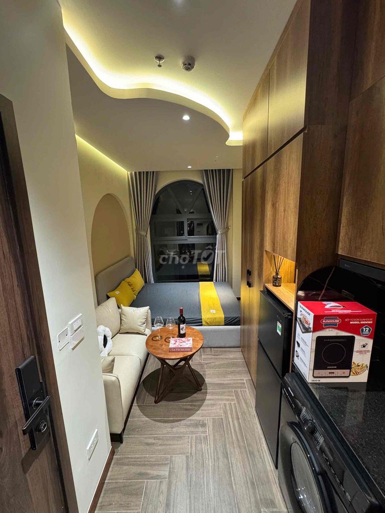 renting apartment full interior luxry