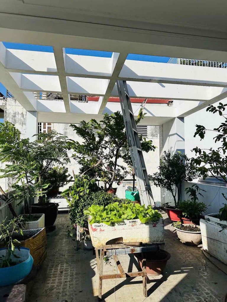 3 m Đất Thánh-7* 6 Tân Bình, 4 x17 meters, 2 floor st, 4 bedroom 5 toilets cost 15 million