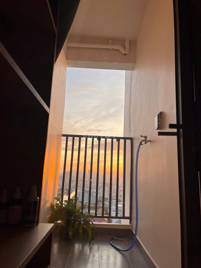 Rent apartment Auriora Residence in early January26.