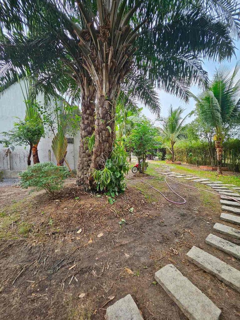 Rent a garden house and pool Củ Chi