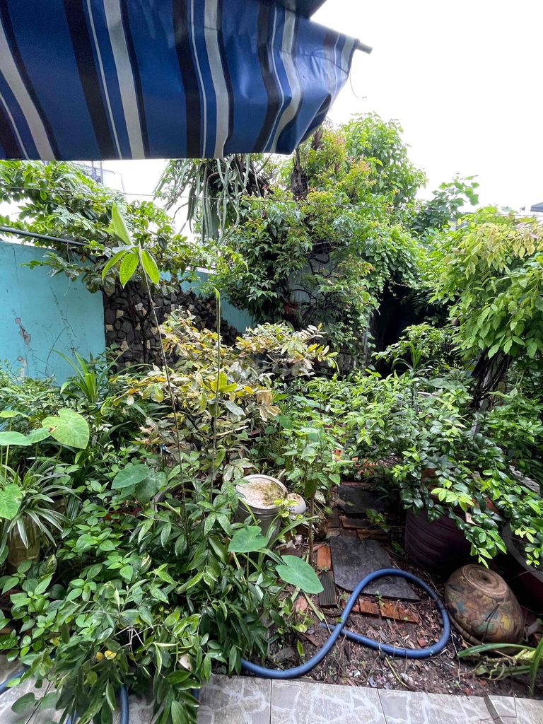 Rents two floors of Thạnh Mỹ Lợi District 262 m2 - 4 bedrooms 2 steam cars 20 million a month
