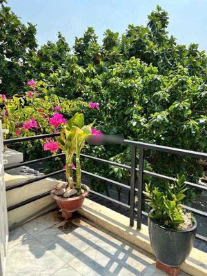 Rent a Nội Bộ Cao Lỗ house. area 4 x20. It's 26 trieu.