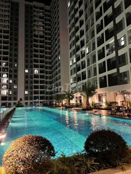 The nice privia fills out the view in the pool. Two bedrooms full of high-end furniture.