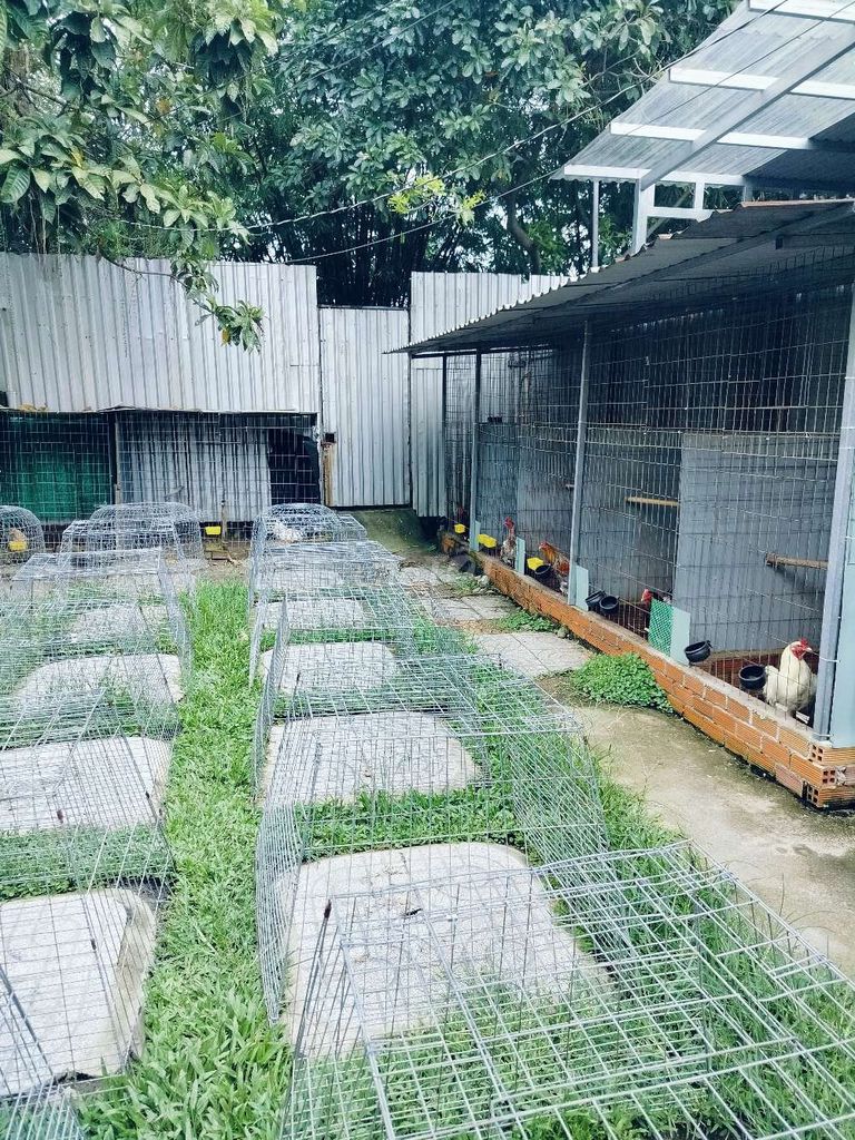 To rent housing.