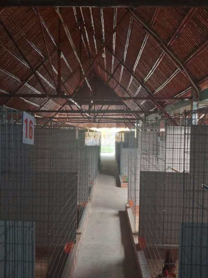 To rent housing.