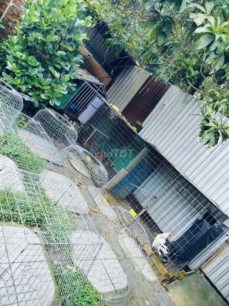 To rent housing.