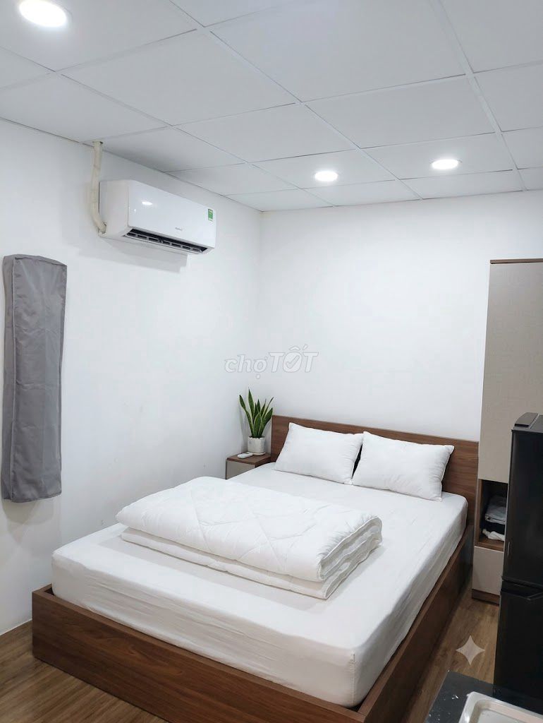 Pretty little studio right up the bridge, landmart 81 - full interior - free car