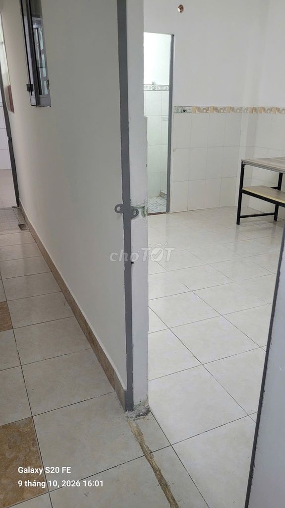 Rents số 20 Resolutes A 4.2 x 20 B D 1 T