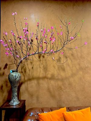Rent a Nguyễn Sơn alley 7M area 4 x 17 M casts 2.5 pieces