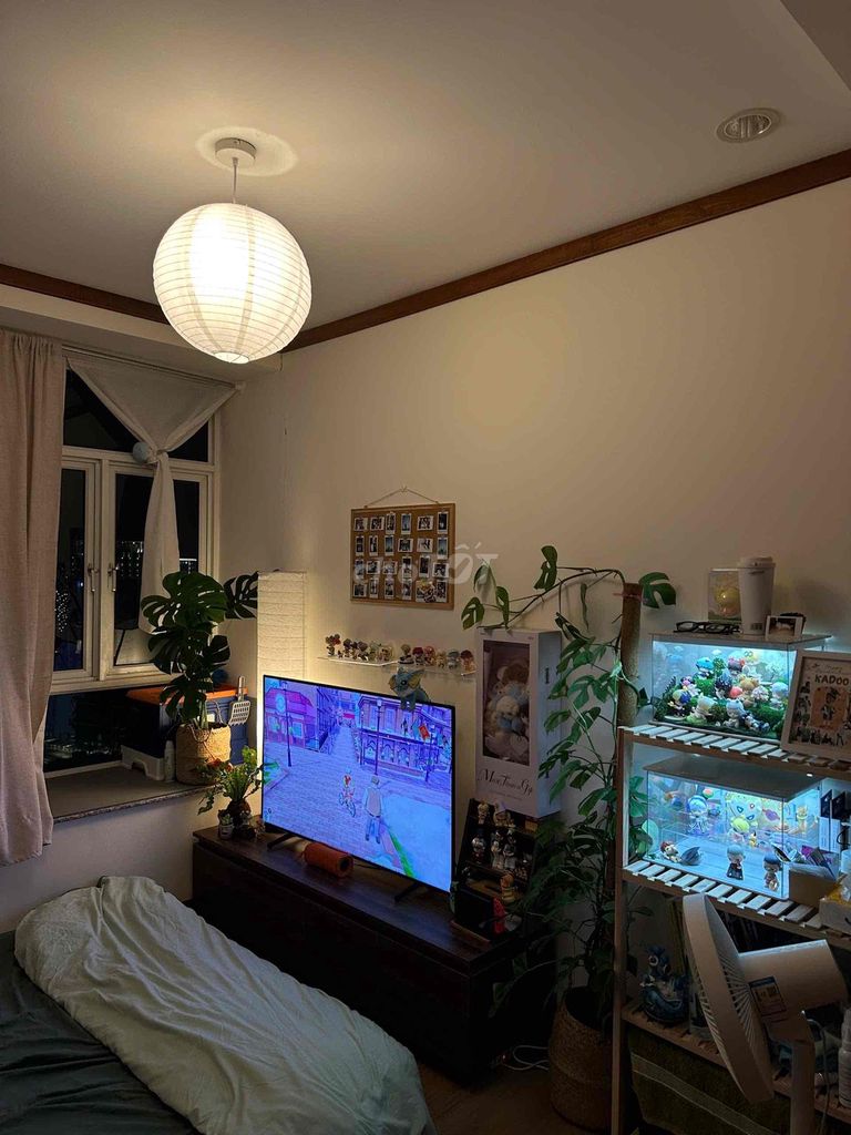 - Nice room. - Chung Cư Hoàng Anh An Tiến - Nice clean view.