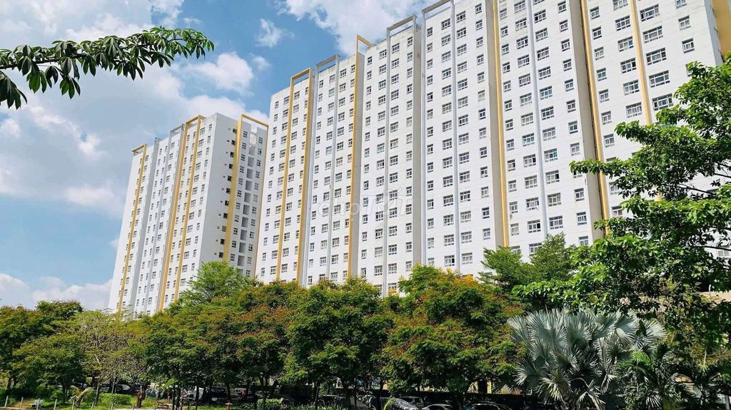 Room one bedroom. A rented toilet.