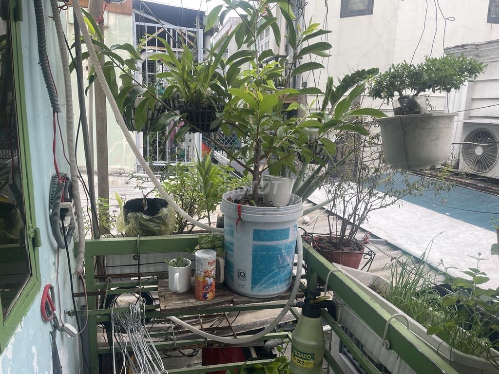 Rent a Tây Thạnh.