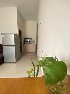 Rent room/attems for high-level service, winning honors