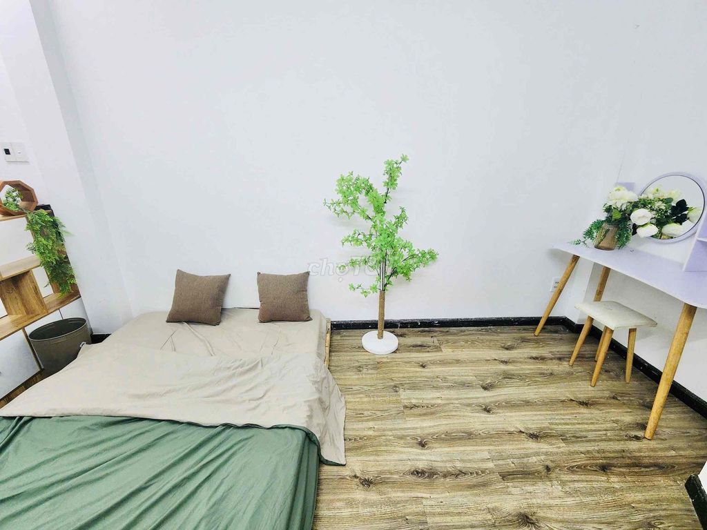 It's the owner who rents the full interior studio with windows - only 4.5 million a day.