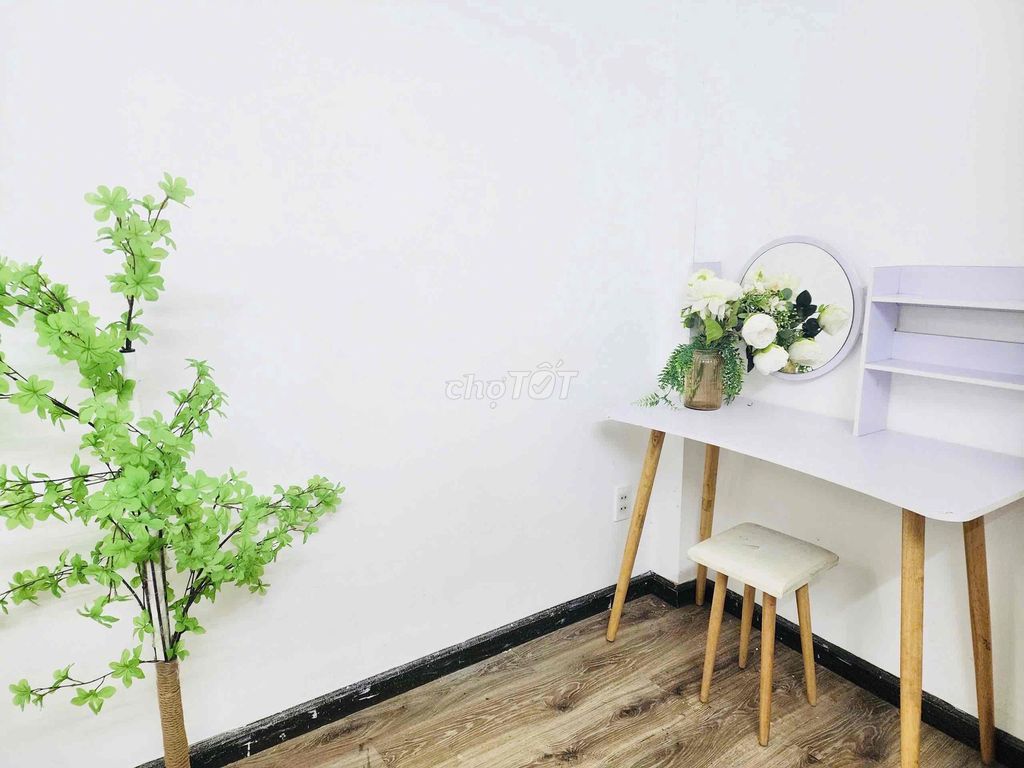 It's the owner who rents the full interior studio with windows - only 4.5 million a day.