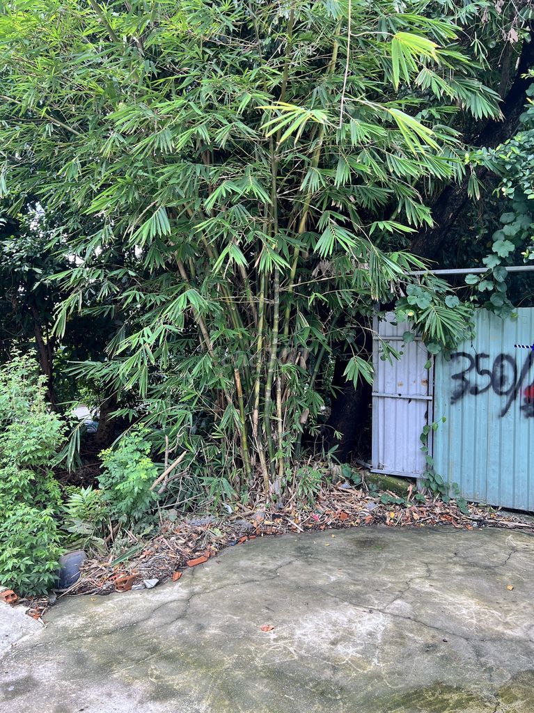 The original building is four, four, x16, which is one bedroom. One room, plus An Phú Đông Street.