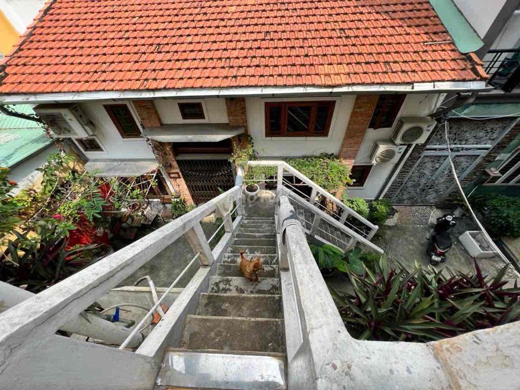Rent building for vintage street, unique sg, 50 meters2