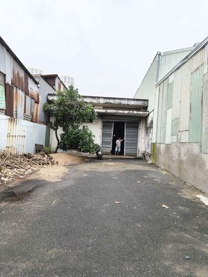 Rent the Hoàng Ngân cash vault, ward 16, 8 x52 meters.