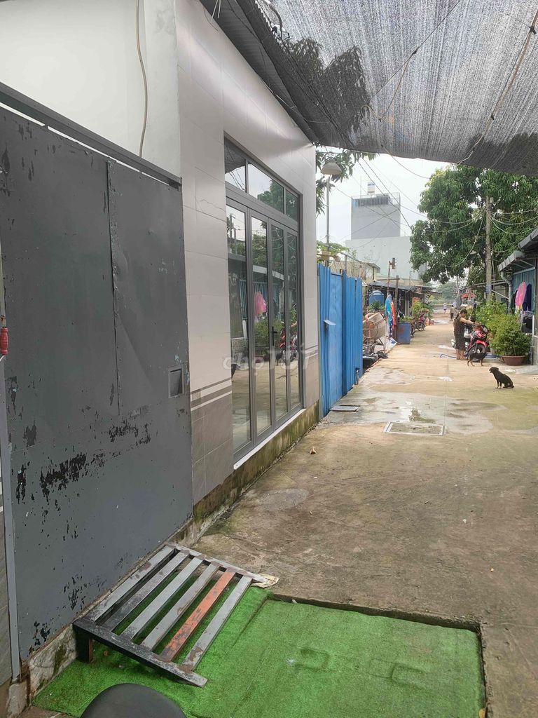 Rent the original alley 2/11 Su Yu Yu Yu Yu Yu Yu Yuyu 15 Gò Vấp district