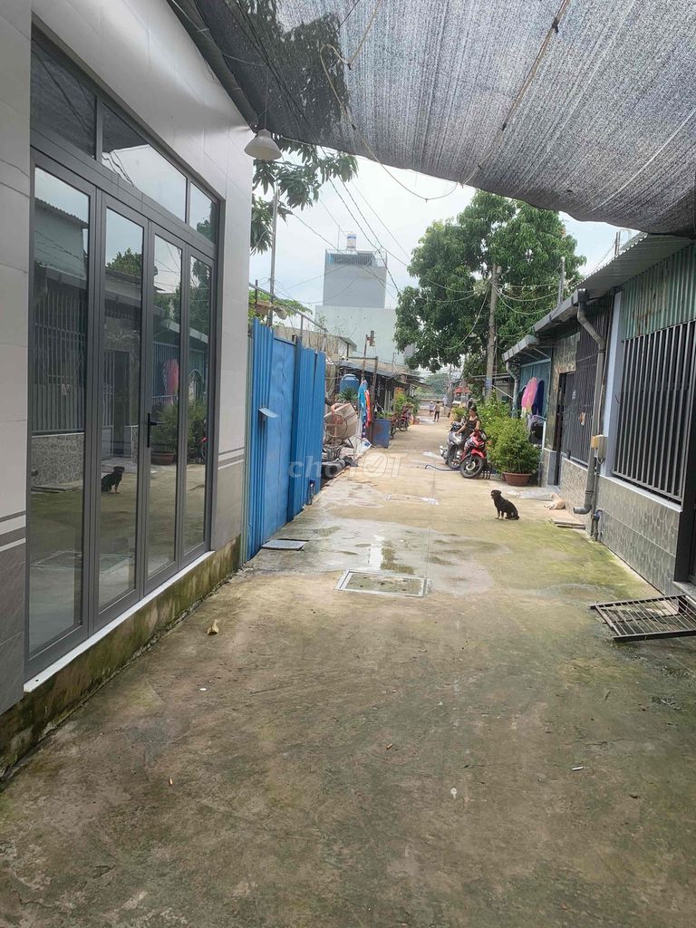 Rent the original alley 2/11 Su Yu Yu Yu Yu Yu Yu Yuyu 15 Gò Vấp district