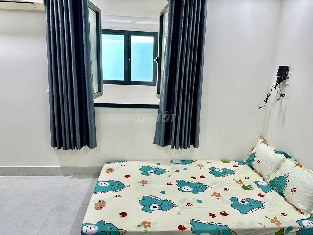 Main Trần Hữu Trang Full Window Studio for Rent