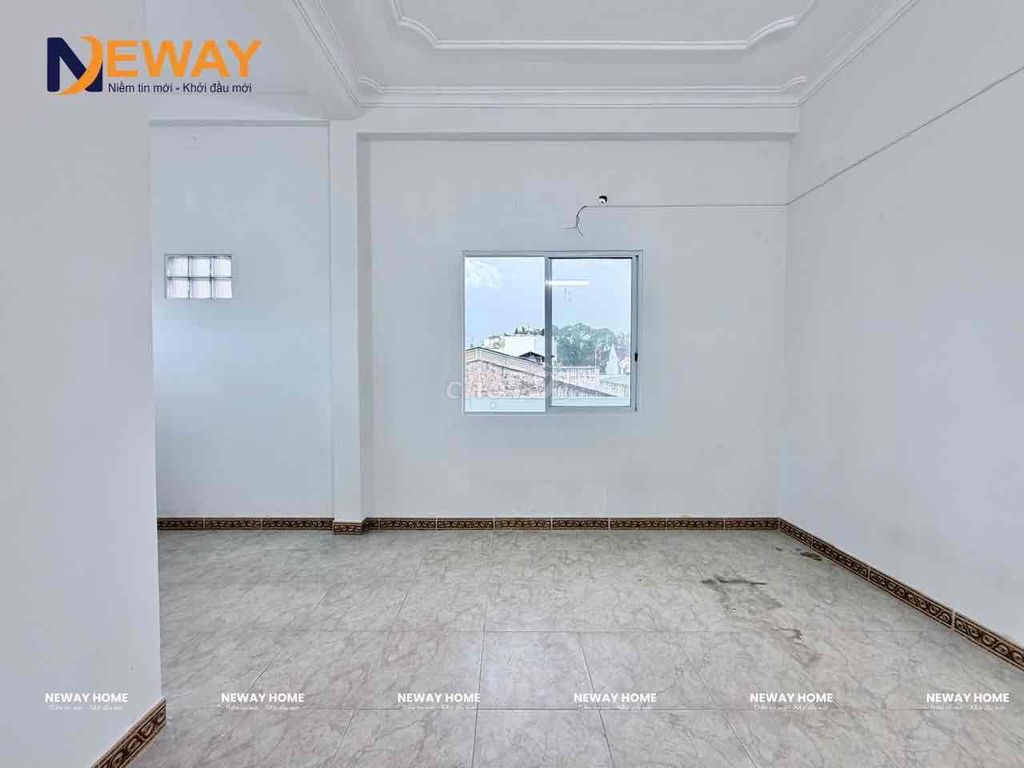 New studio - open sky window near the lotus