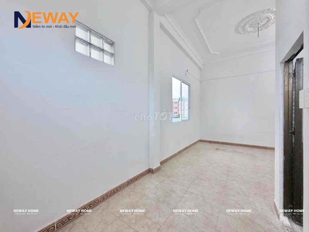 New studio - open sky window near the lotus