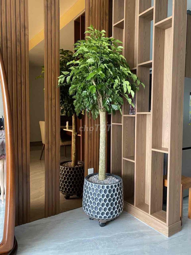 Central apartment near the airport.