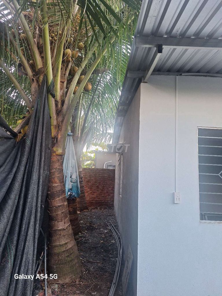 Two newly built by the alley of the car using 88 M2 kitchens, clean toilets, large gates.